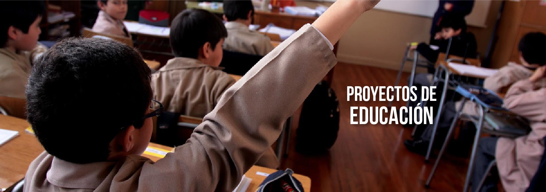 Proyectos de Educación Social